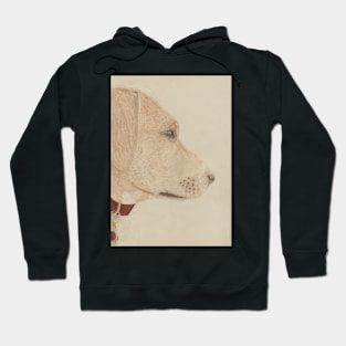 Dog in profile Hoodie